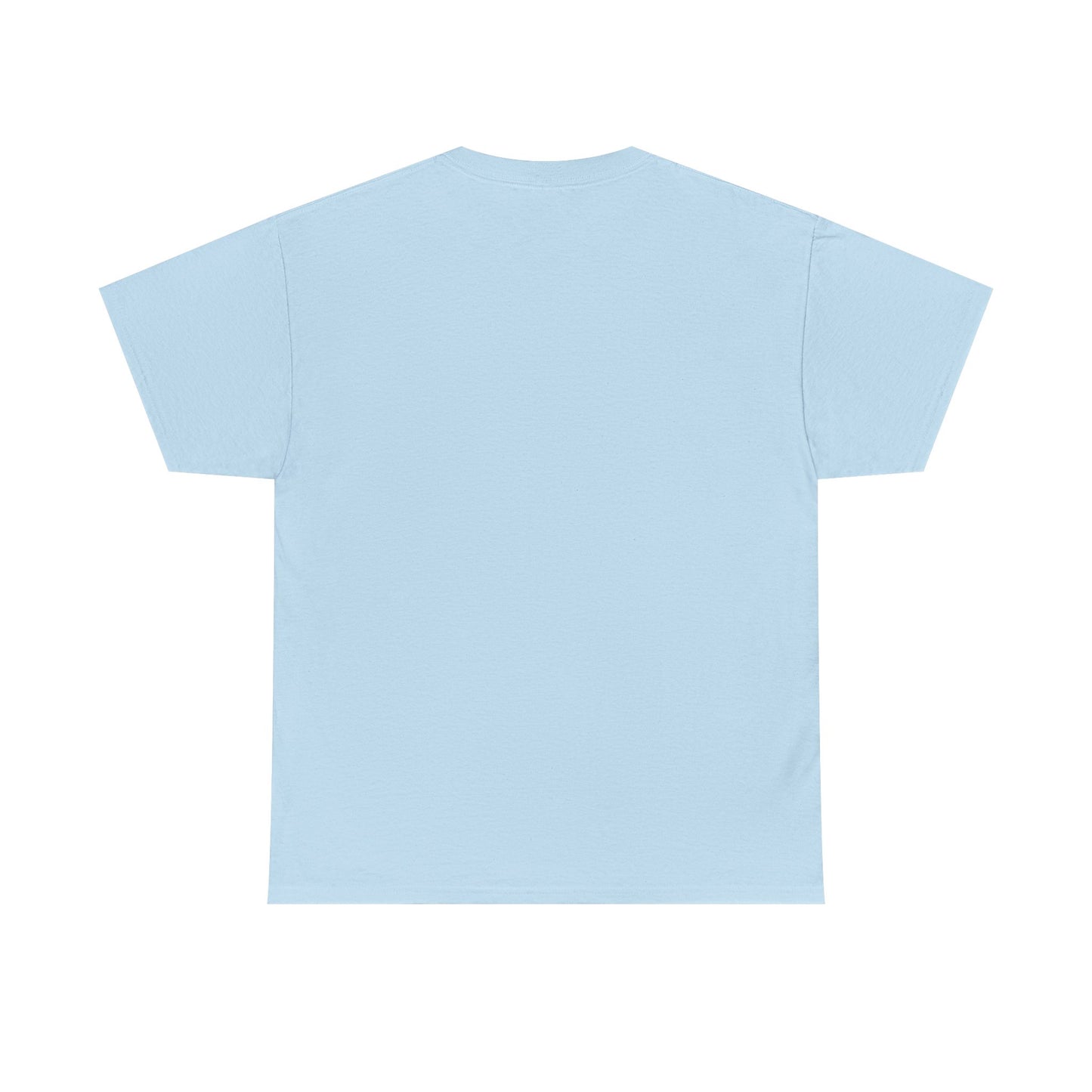 Sleek Pickleball Unisex Heavy Cotton Tee