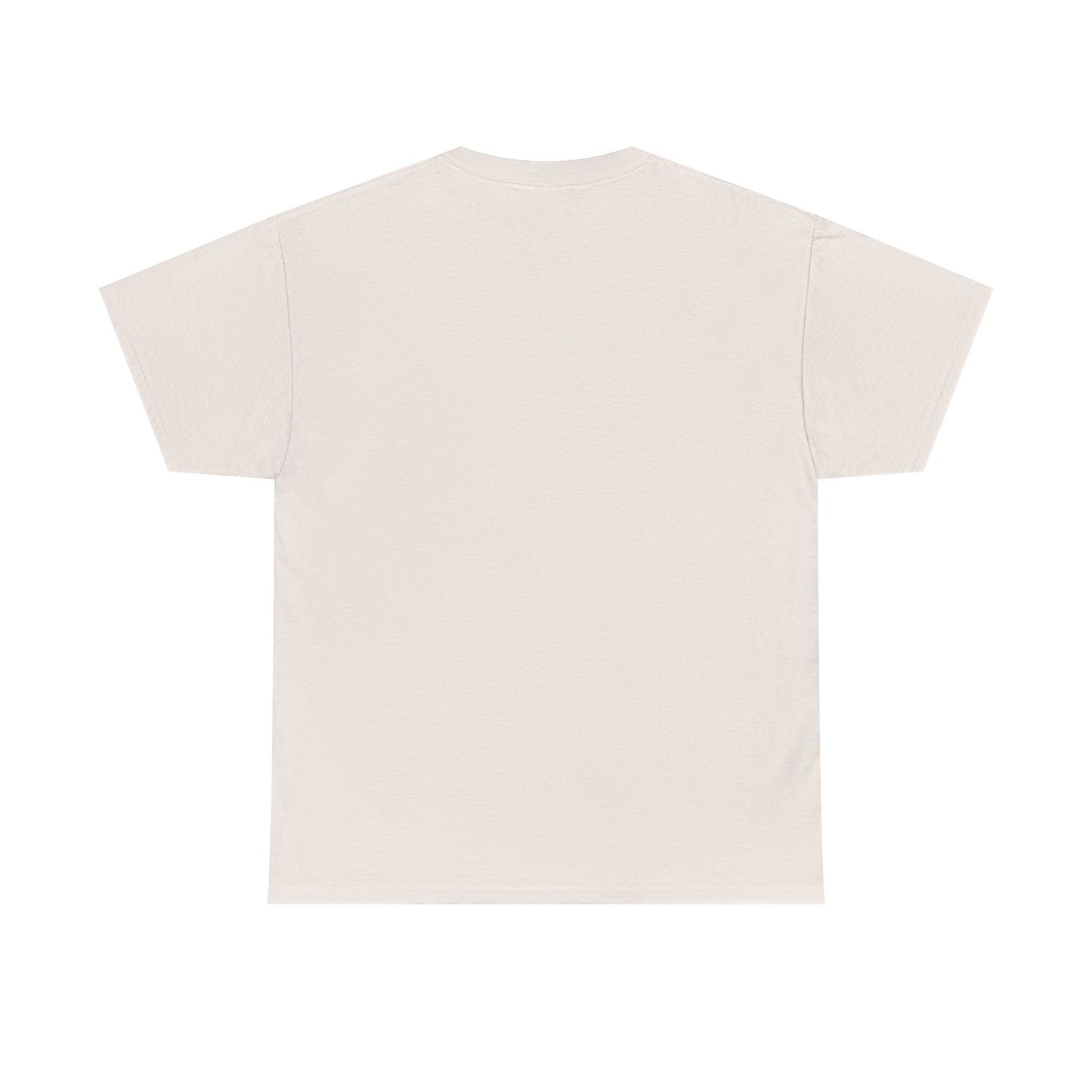 Sleek Pickleball Unisex Heavy Cotton Tee