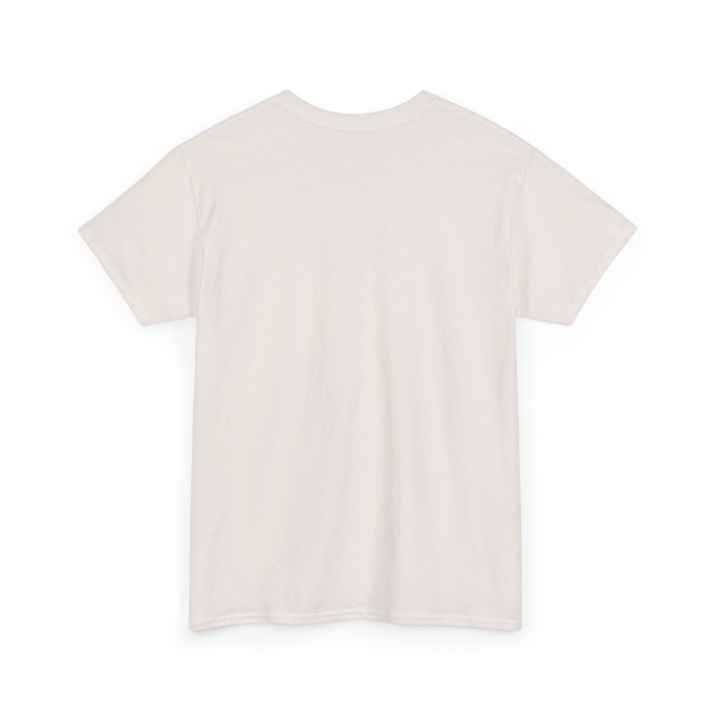 Sleek Pickleball Unisex Heavy Cotton Tee