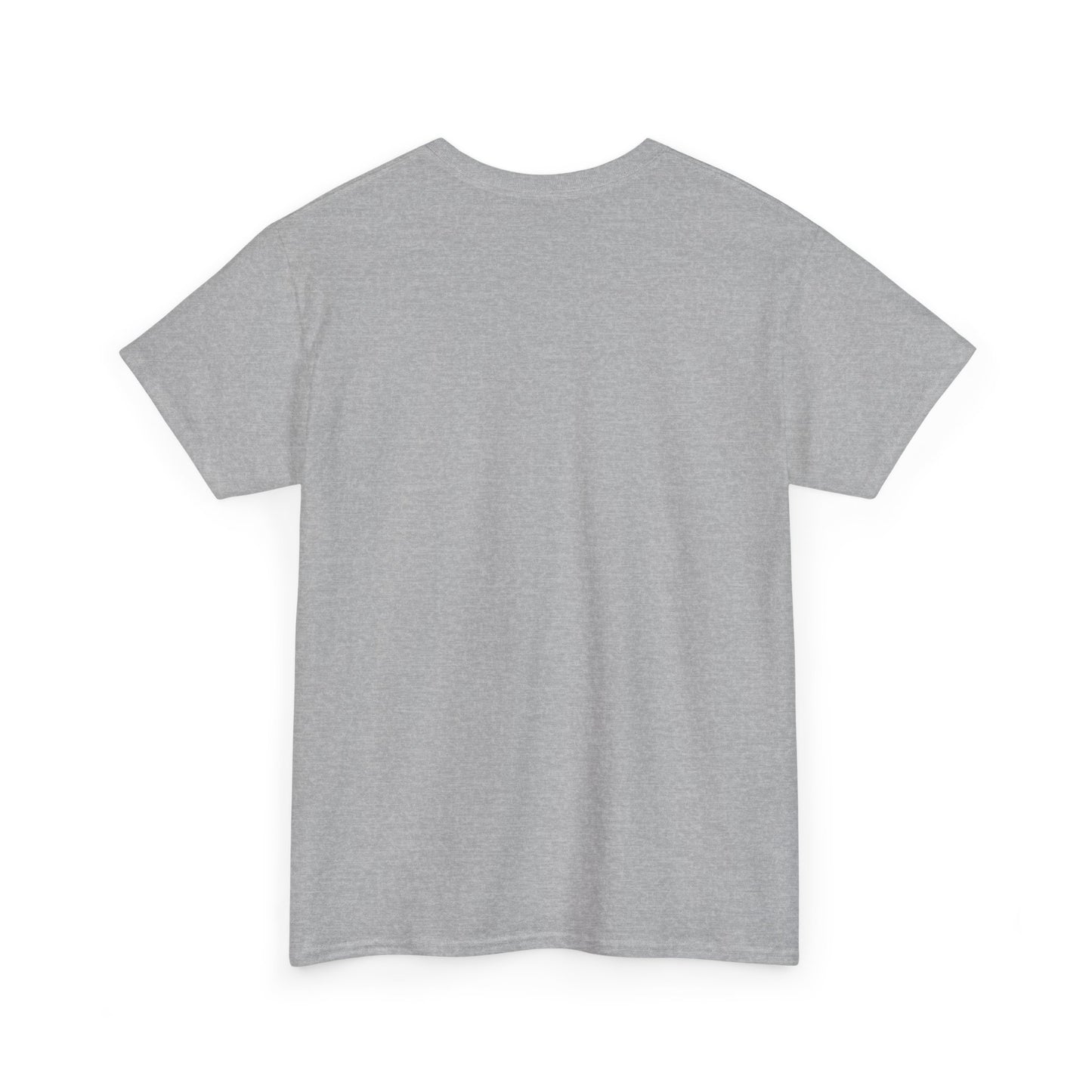 Sleek Pickleball Unisex Heavy Cotton Tee